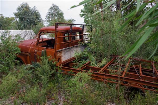 Dodge Truck Overgrown 1 New