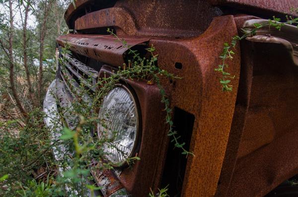 Dodge Truck Overgrown 2 New