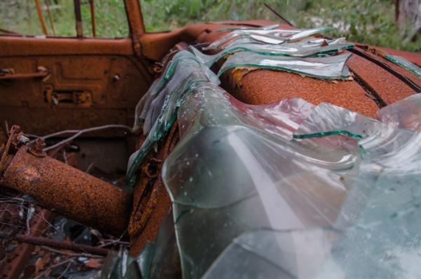 Dodge Truck Overgrown 4 New