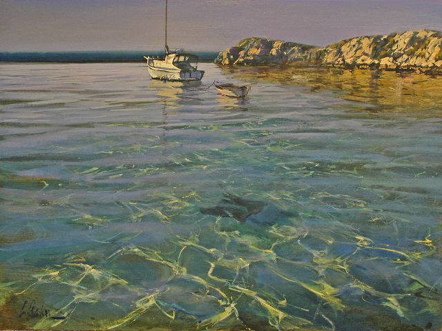 Greg Baker Low Flight Rottnest Greg Baker Low Flight Rottnest