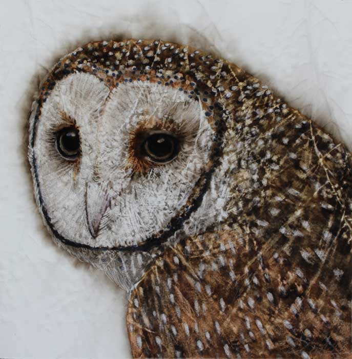 Kay Gibson Masked Owl Markings 40x40cm