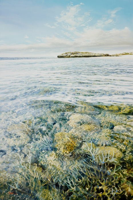 Off Varanus Island
