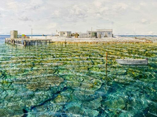 Larry Mitchell The Nook Abrolhos Islands Oil Painting Detail 2