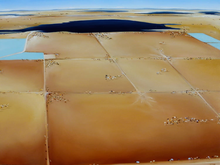 Shane Moad Marsh Land In The Wheatbelt 120x92cm