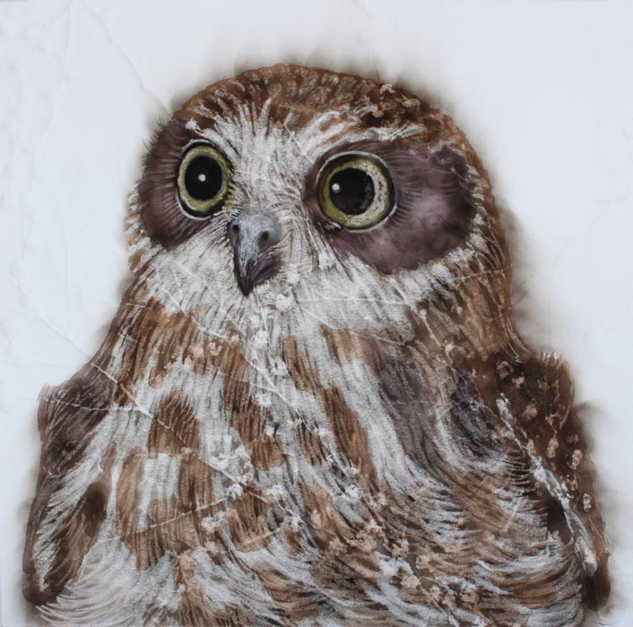 Kay Gibson Spero Noctura Hope Owl 40 X 40cm Frame 1550