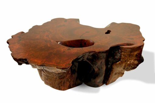 Jarrah Burl Trunk Coffee Table Side 2