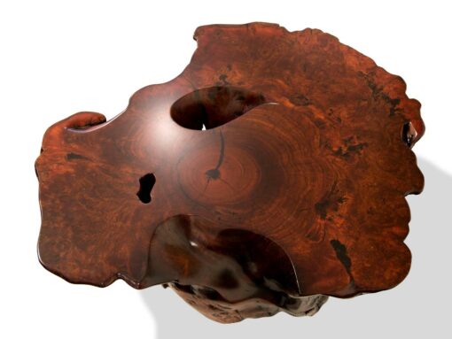 Jarrah Burl Trunk Coffee Table Top