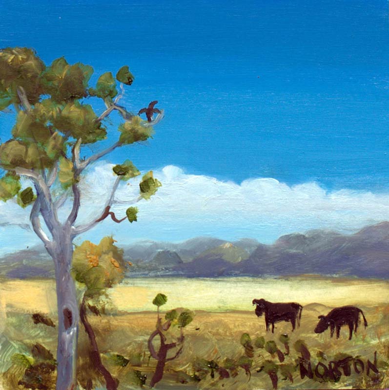 Helen Norton Angus Cattle In Landscape Painting