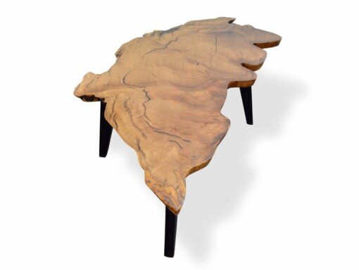 The Cove Marri Burl Coffee Table 1