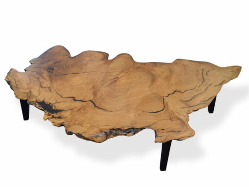 The Cove Marri Burl Coffee Table 6