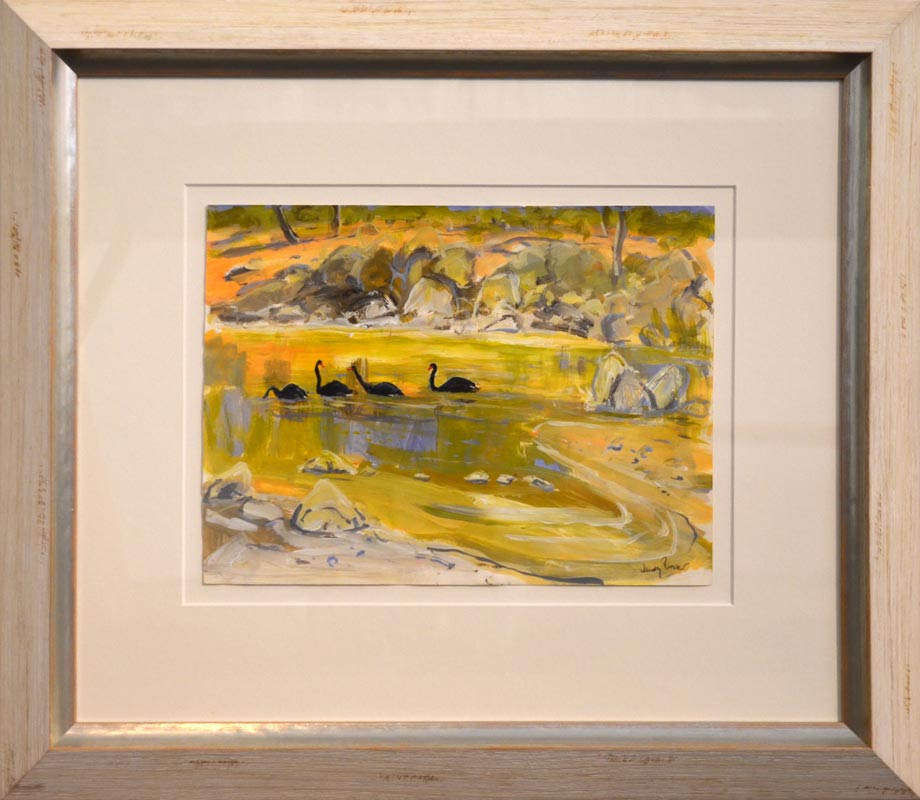 Judy-Prosser-Swans-On-A-Murchison-Pool-Framed-Painting judy prosser swans on a murchison pool framed painting