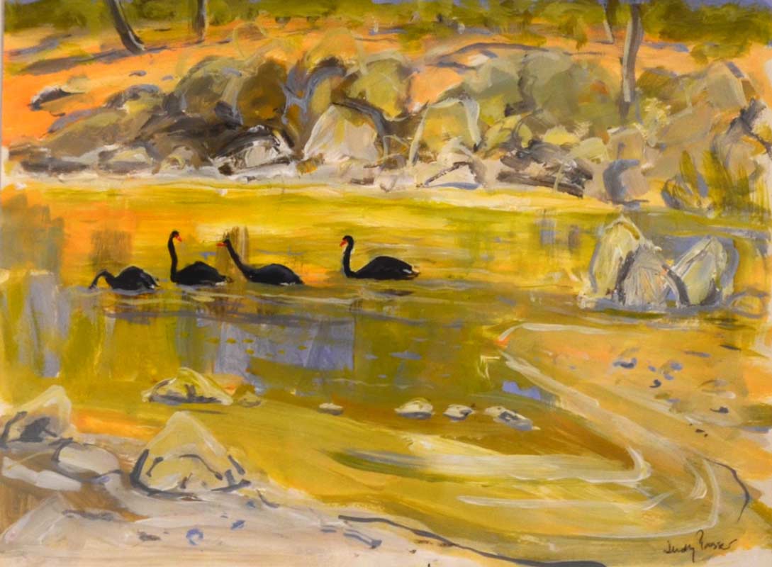 Judy-Prosser-Swans-On-A-Murchison-Pool-Painting judy prosser swans on a murchison pool painting