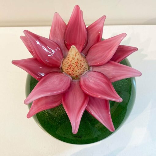 Eileen Gordon Water Lilly Pink Flower Top