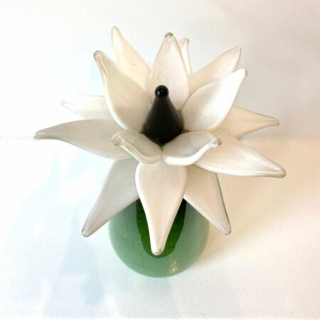 Eileen Gordon Water Lilly White Flower