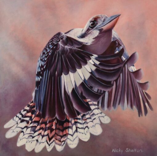 Nicky Shelton Maverick Bird Oil Painting