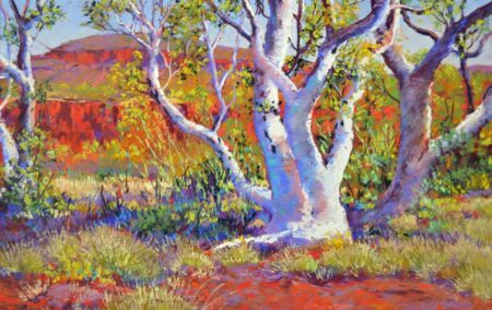 Shirley Fisher Pastel Art Dale S Gorge Snappy Gums