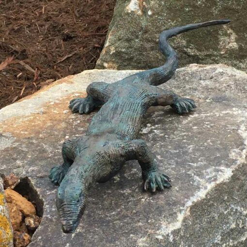 Brian Borschoff Monitor Lizard Outside On Rock