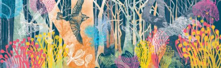 Emily Jackson - Boranup Regeneration