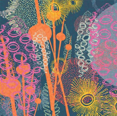 Emily Jackson - Discovering Wadandi