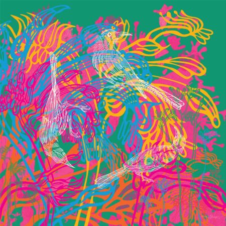 Emily Jackson - Kangaroo Paws and Friends 2