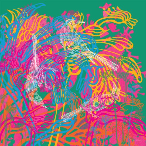 Emily Jackson - Kangaroo Paws and Friends 2