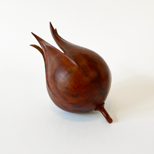 Neil Turner - Artistic Jarrah Seed Pod - Image 2