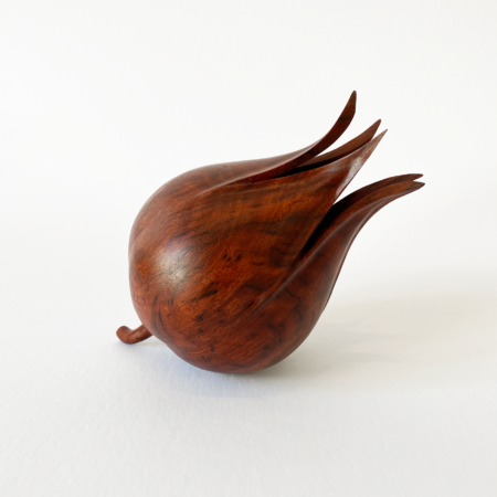Neil Turner - Artistic Jarrah Seed Pod