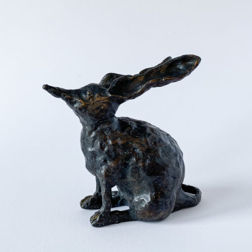 Brian Borshoff - Bilby in Bronze - Image 3