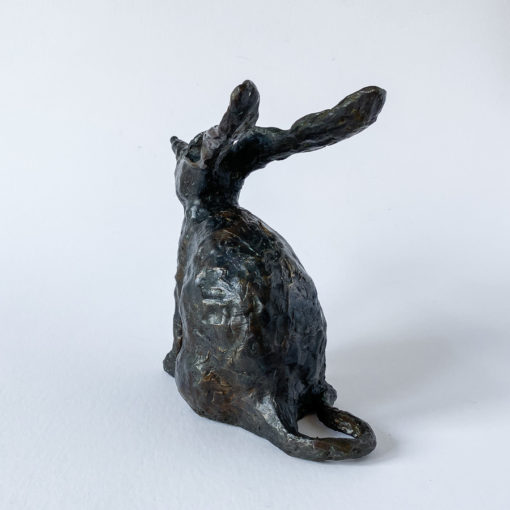 Brian Borshoff - Bilby in Bronze - Image 4