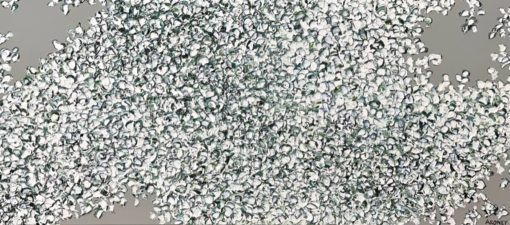 Felicia Aroney - Jasmine In Bloom