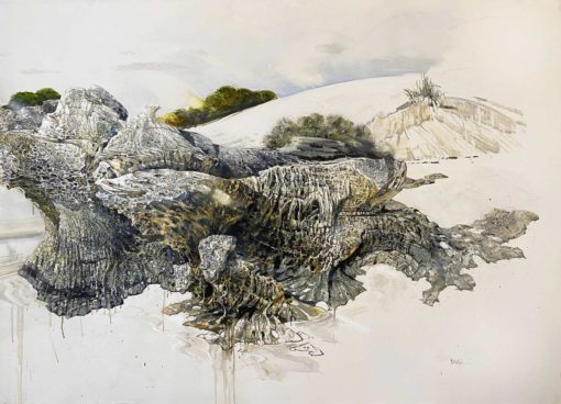 Larry Mitchell - Limestone Forms, Rottnest Island - Image 3