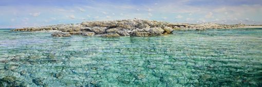 Larry Mitchell - West Wallabies, Abrolhos Islands