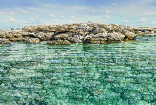 Larry Mitchell - West Wallabies, Abrolhos Islands - Image 3