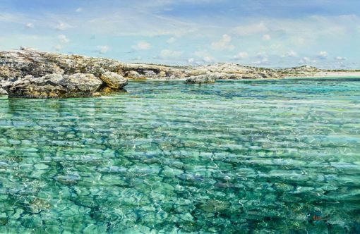 Larry Mitchell - West Wallabies, Abrolhos Islands - Image 4