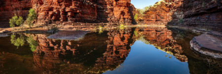 Kalimina Pool Reflections