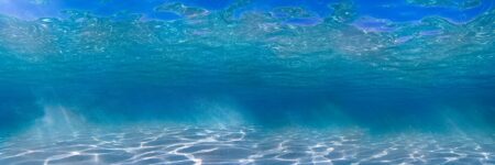 Liquidity
