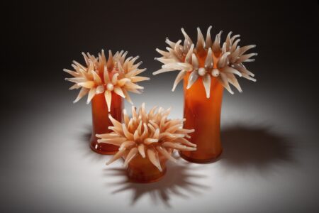 Eileen Gordon – Anomaly of Anemones (2) Eileen Gordon – Anomaly of Anemones glass