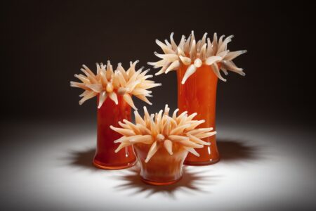 Eileen Gordon – Anomaly of Anemones glass